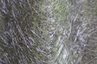 Askrigg fibreglass roof work